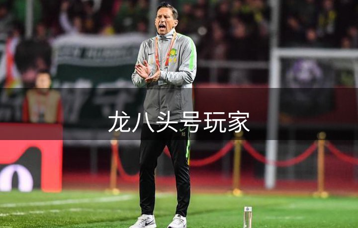 龙八头号玩家介绍